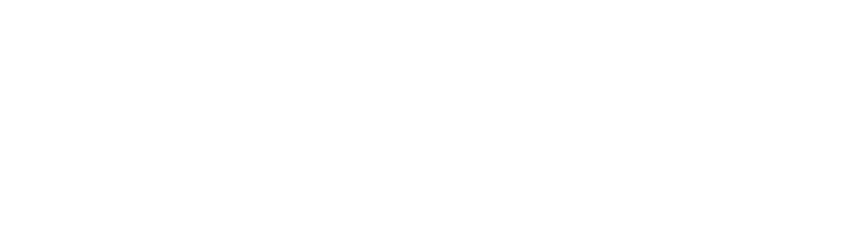 Alliance Automotive Group
